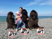 Превью фото № 246177