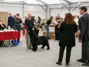 Превью фото № 246209