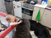 Превью фото № 246217