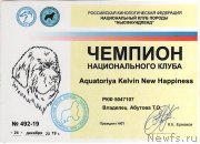 Превью фото № 246248