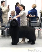 Превью фото № 246257