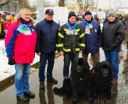 Превью фото № 246287