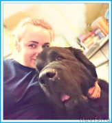 Превью фото № 246290