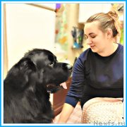 Превью фото № 246295