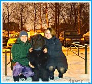 Превью фото № 246299