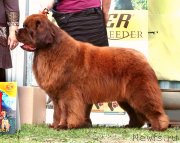 Превью фото № 246308