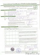 Превью фото № 246313