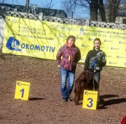 Превью фото № 246342