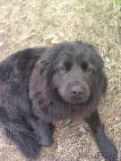 Превью фото № 246362