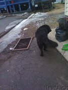 Превью фото № 246363