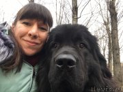 Превью фото № 246408