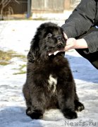 Превью фото № 246421