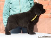 Превью фото № 246473