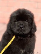 Превью фото № 246478