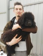 Превью фото № 246612