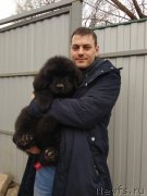 Превью фото № 246613