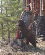 Превью фото № 246626