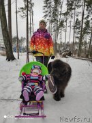 Превью фото № 246642