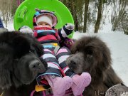 Превью фото № 246648