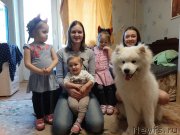 Превью фото № 246651