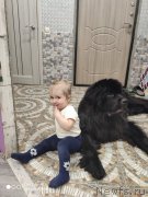 Превью фото № 246656