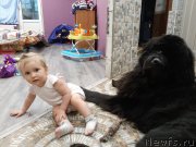 Превью фото № 246657