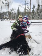 Превью фото № 246659