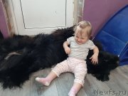 Превью фото № 246664