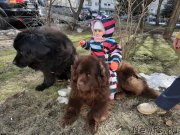 Превью фото № 246673