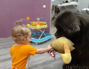 Превью фото № 246685