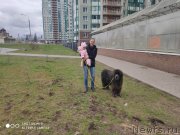 Превью фото № 246687