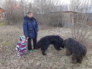 Превью фото № 246702