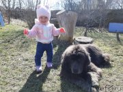 Превью фото № 246708