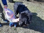 Превью фото № 246709