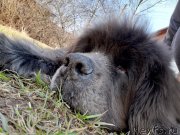 Превью фото № 246711