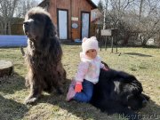 Превью фото № 246713