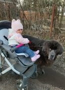 Превью фото № 246721