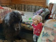 Превью фото № 246734