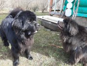 Превью фото № 246754