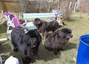 Превью фото № 246757