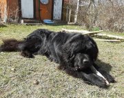 Превью фото № 246762