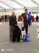 Превью фото № 246772