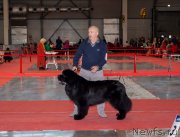 Превью фото № 246777