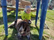 Превью фото № 246793