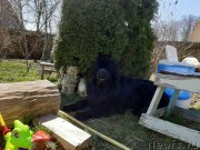 Превью фото № 246795