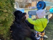 Превью фото № 246798