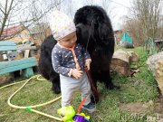 Превью фото № 246827