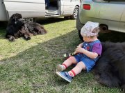 Превью фото № 246830