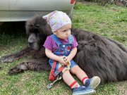 Превью фото № 246834