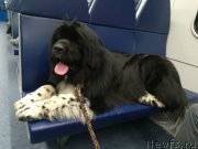 Превью фото № 246849